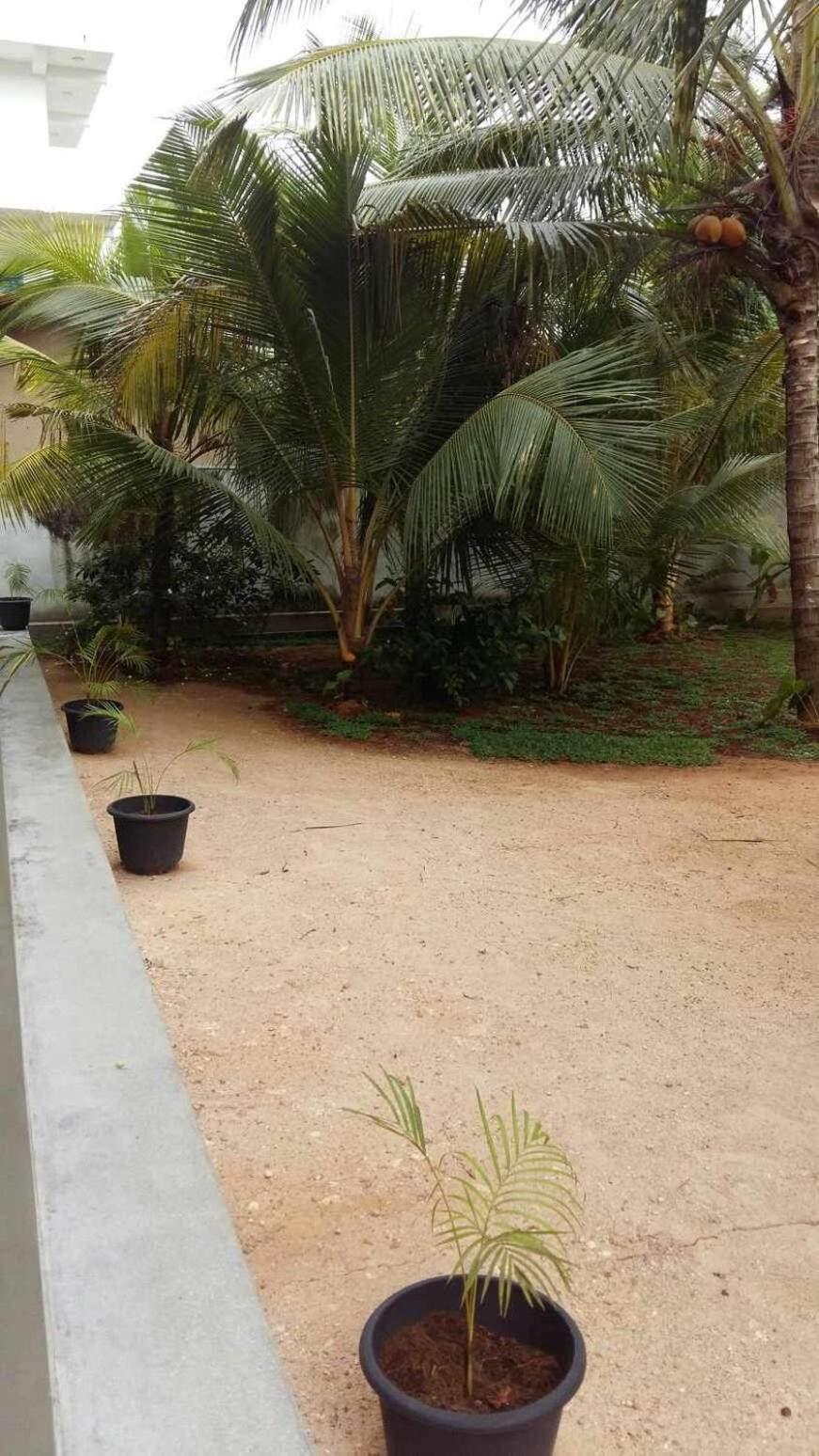 Hotel New Ocean Breeze Madiha Matara Exterior foto